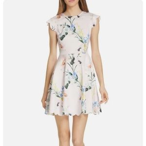 Ted Baker Blush Pink Floral “Karsali”Elegance Scallop Skater Fit Flare, NWOT!